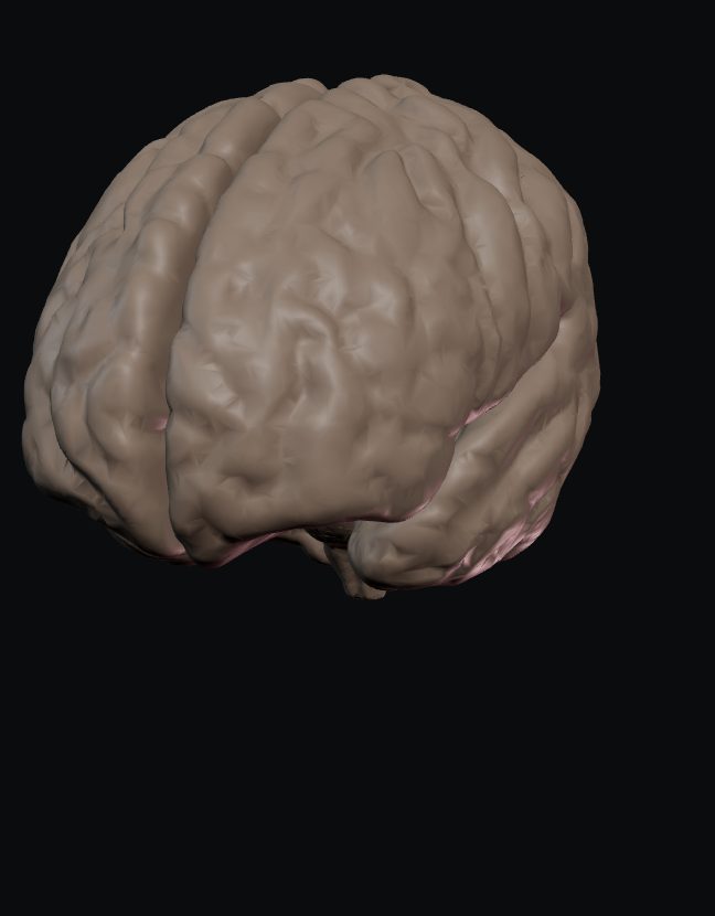 Modelo 3D do encéfalo